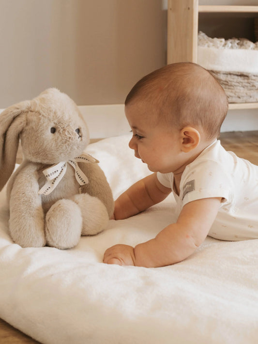 Bamboom Bunny Coniglietto peluche luci notturne, musica e suoni bianchi