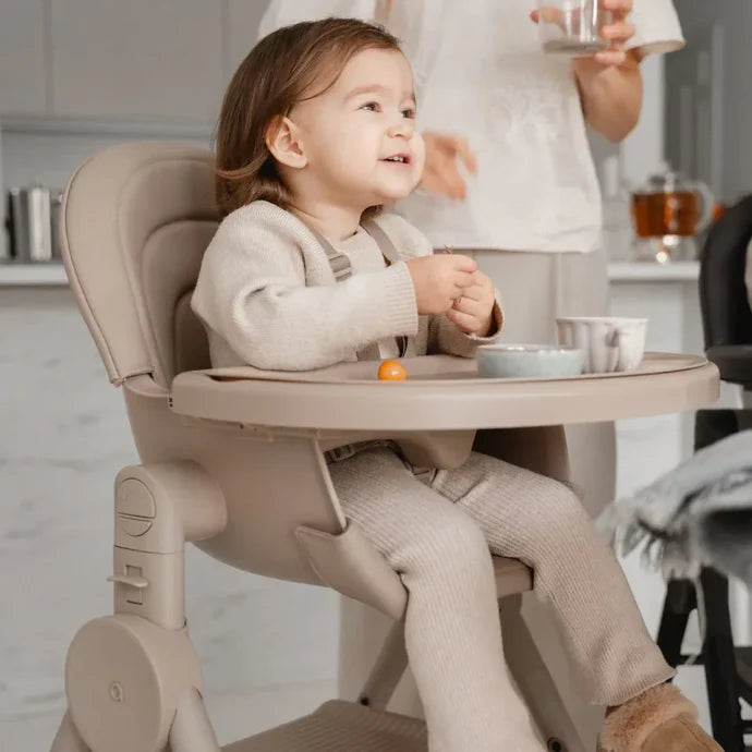 Anex Ozy Fluff Seggiolone 3 in 1 - dalla nascita fino a 5 anni