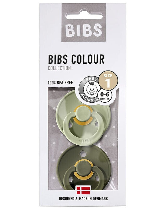 Bibs Succhietti 2pz Colour Pacifier 6m+ con tettarella in caucciù rotonda - Col. verde