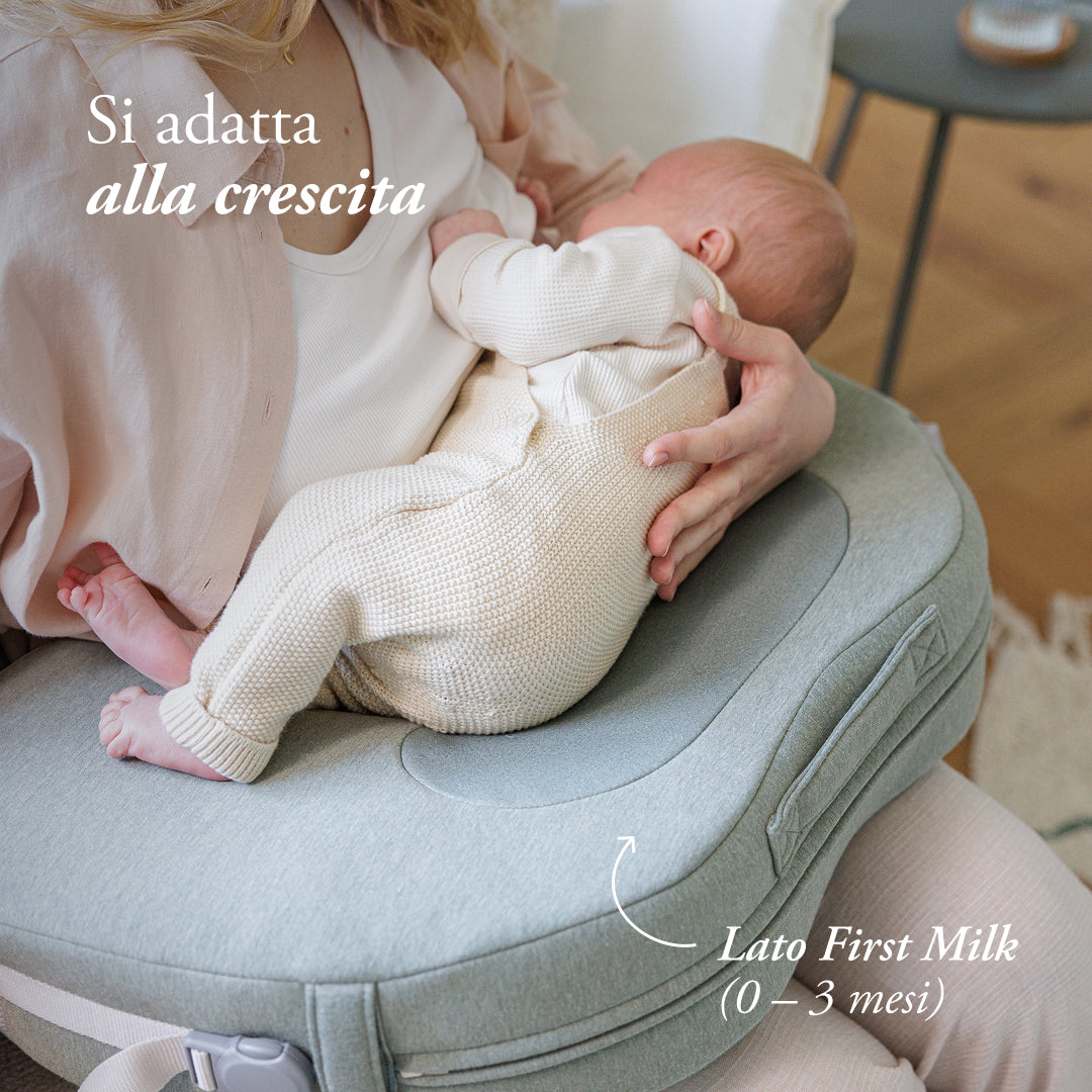 Inglesina Elysia Cuscino Allattamento